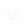 Net solution facebook